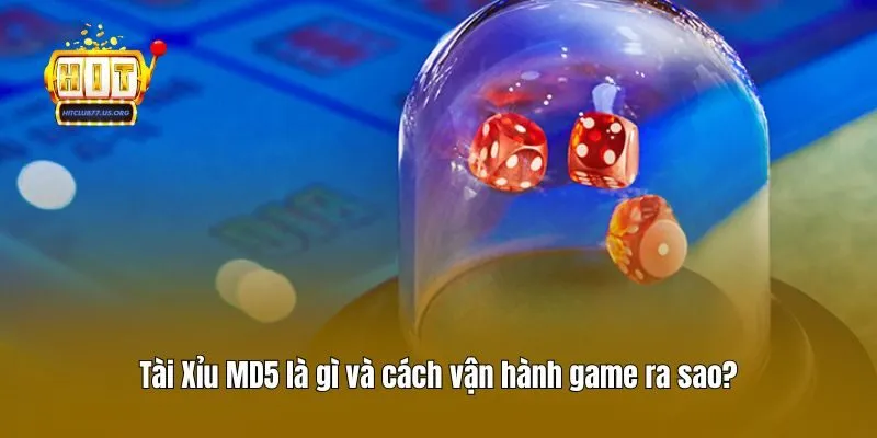 Tài Xỉu MD5 là gì và cách vận hành game ra sao?